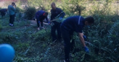 【市城市燃熱集團富泰熱力】清理衛生死角 清除廠區蒿草