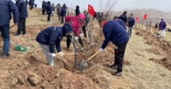 【市城市燃熱集團富泰熱力】公司組織開展義務植樹活動